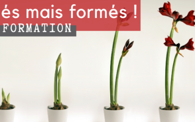 Dispositif exceptionnel Crise Covid 19