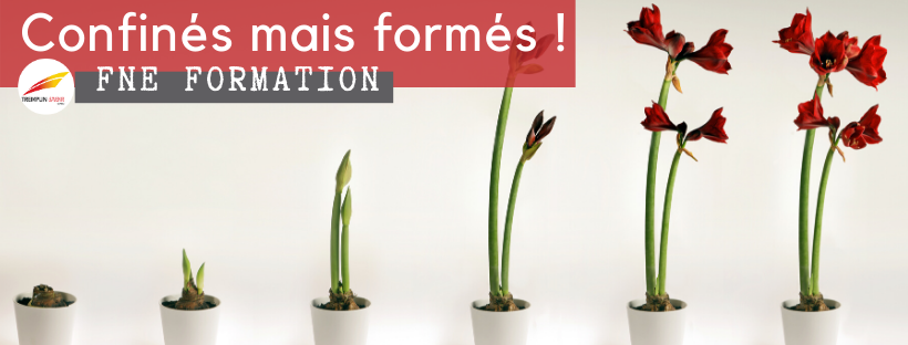 Dispositif exceptionnel Crise Covid 19