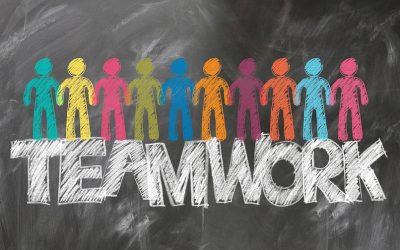 Une nouvelle aventure pour NV Conseil & Formation
