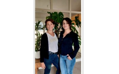 Une, puis deux, puis trois pour gérer vos plans de formation !