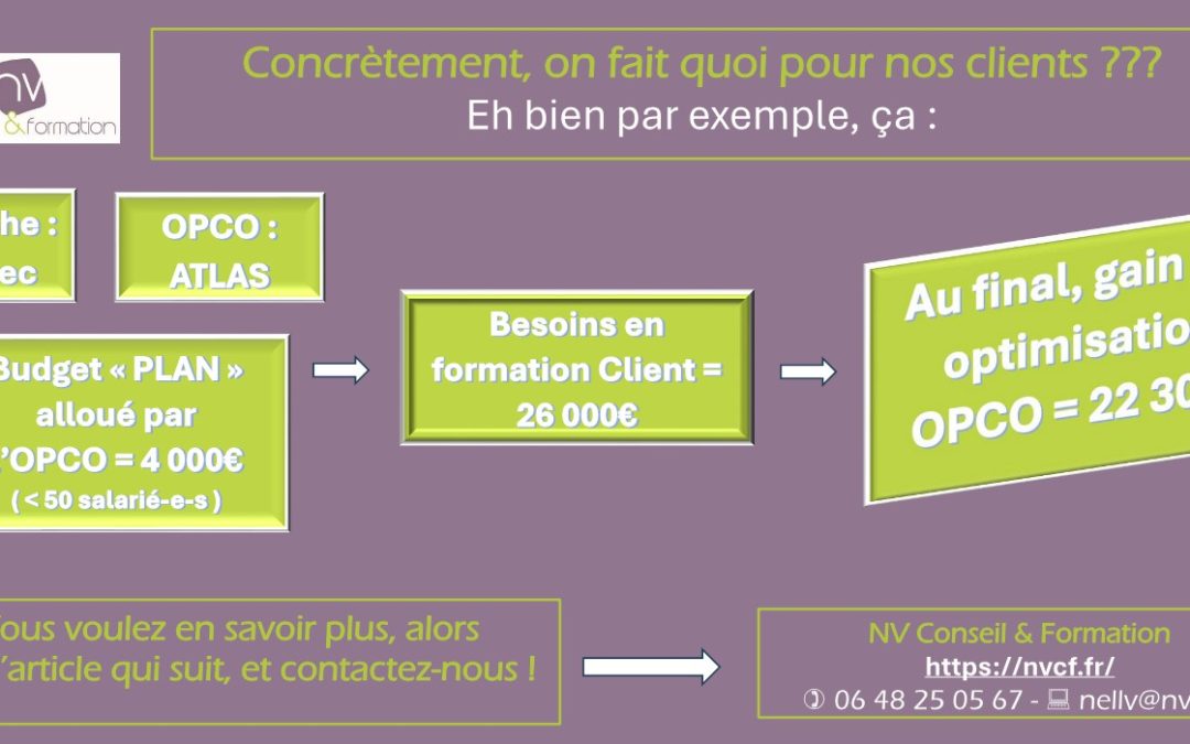L&rsquo;optimisation financière – Épisode 2 avec l&rsquo;OPCO Mobilité