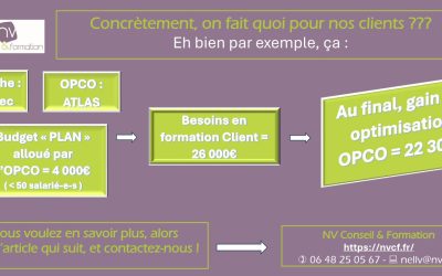 L&rsquo;optimisation financière – Épisode 2 avec l&rsquo;OPCO Mobilité